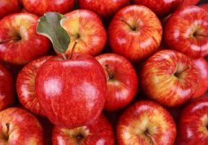 توزیع میوه تنظیم بازار شب عید در گیلان آغاز شد