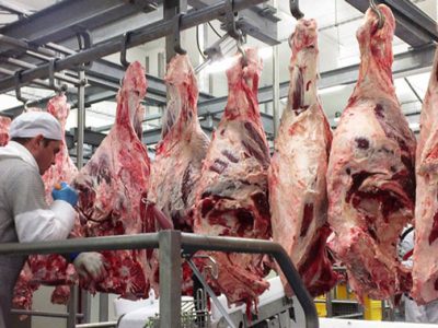 جزییات تهاتر گوشت و گاز با پاکستان