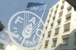 ایران در سایه تهدید، محاصره و تحریم تسلیم صلحی تحقیرآمیز نمی شود