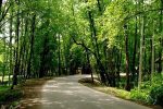 ایجاد و تأسیس پارک‌های جنگلی «زندگی» در اراضی ملی؛ نهضتی برای توسعه فرهنگ منابع طبیعی و مشارکت مردمی