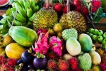 سیستان و بلوچستان بهشت میوه‌های استوایی؛ غفلت از ظرفیت اقتصاد کشاورزی