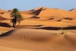 ۱۴ میلیون هکتار از بیابان‌های کشور کانون بحران فرسایش بادی است