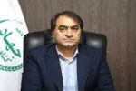 خرید مرغ مازاد مرغداران با قیمت ۳۶۹ هزار تومان تصویب شد