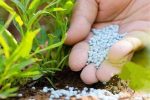 شوک جنگ علیه ایران بر زنجیره کود؛ زنگ خطر برای امنیت غذایی جهانی