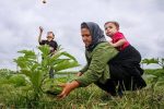 جمعیت بیمه‌شدگان زنان سرپرست خانوار افزایش می‌یابد
