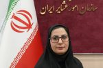 زن عشایری؛ زندگی در مسیر کوچ، تولید و حفظ یک فرهنگ