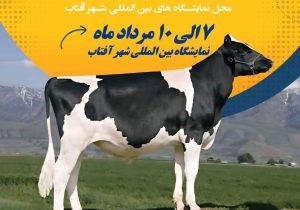  آزادسازی صادرات تلیسه؛ دستاورد مهم ششمین جشنواره ملی گاو هلشتاین ایران