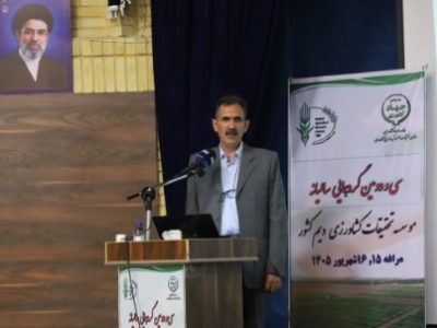 افزایش عملکرد محصولات دیم کشور با وجود کاهش بارندگی/ ۱۰ رقم جدید به سبد زراعی تا پایان سال اضافه می‌شود