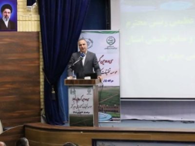 شکسته شدن رکورد تولید گندم در ایران/ برنامهریزی برای تولید سالانه ۶۰۰ هزار تن دانه روغنی در کشور
