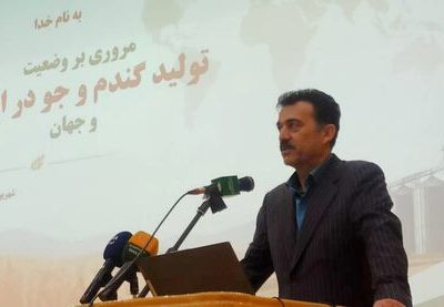 گندم آبی باید بر اساس میزان دسترسی به آب مدیریت شود