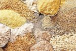 دومین کشتی حامل ۵۸ هزار تن کنجاله سویا در چابهار پهلو گرفت