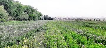 مجوز ایجاد «شهرک زنجیره ارزش تولیدات کشاورزی» تصویب شد
