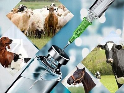سلامت دام، پیش‌شرط تداوم تولید